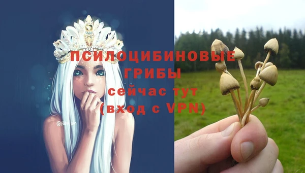 индика Михайловка