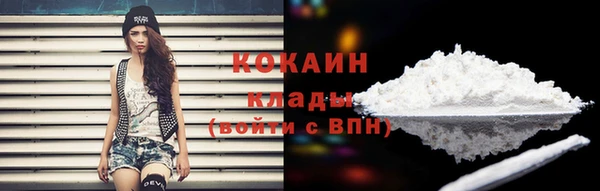 индика Михайловка