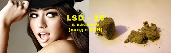 индика Михайловка