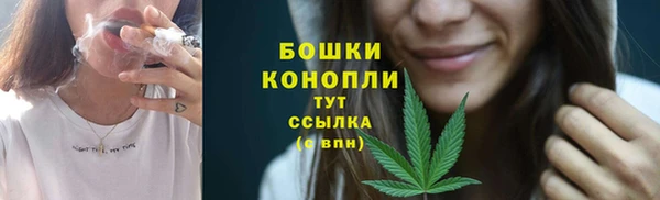 PSILOCYBIN Навашино