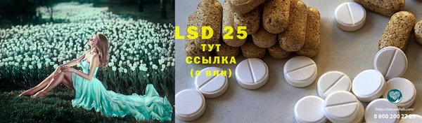 PSILOCYBIN Навашино